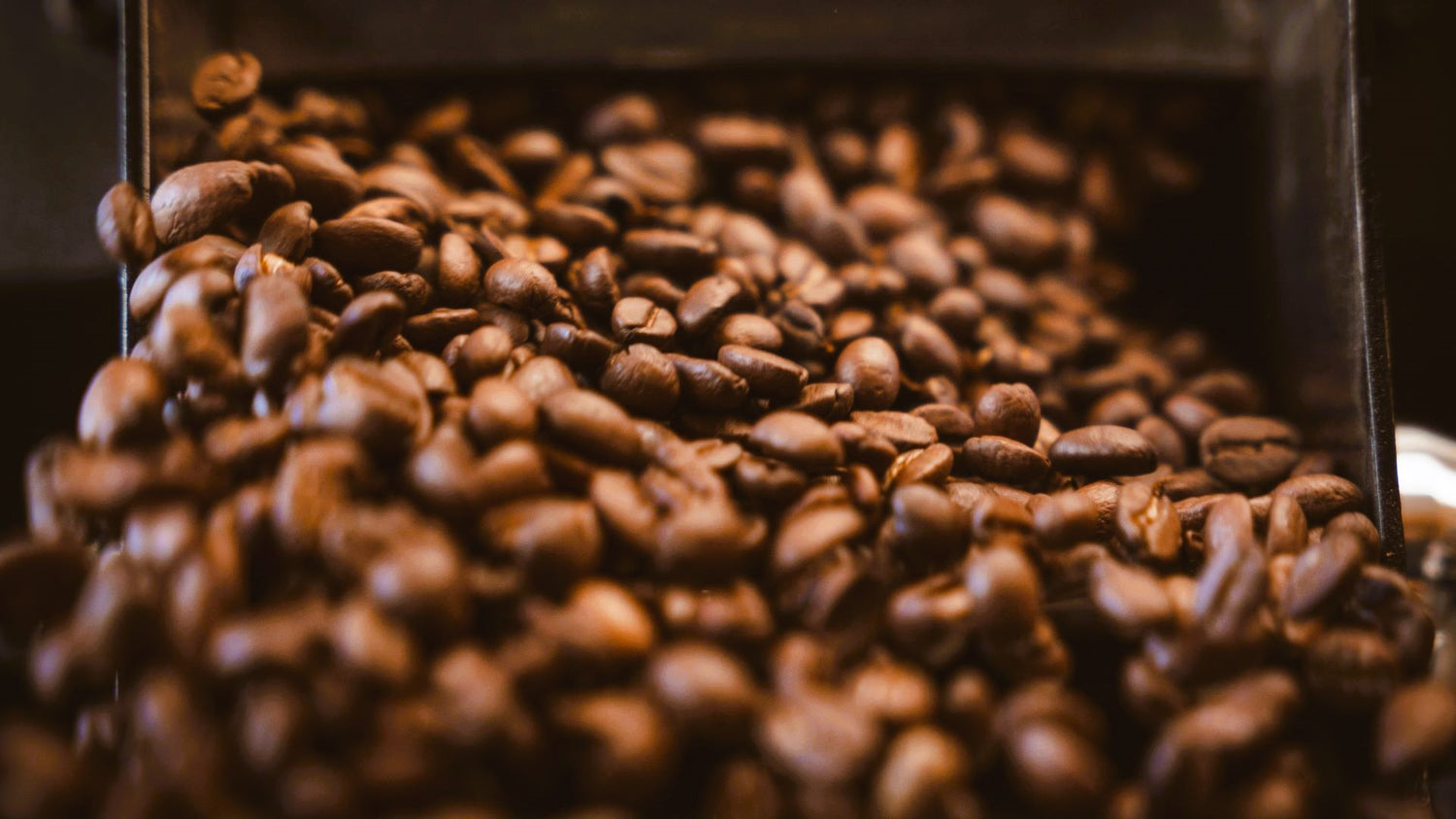 Bio-Arabcia Röstkaffee von DUNKELSTEINER COFFEE